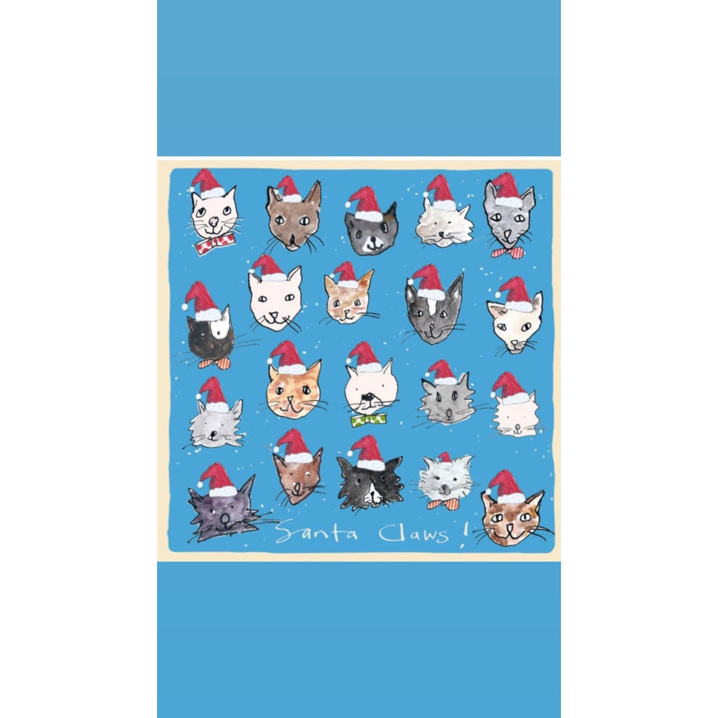 Santa Claws Christmas Greeting Card
