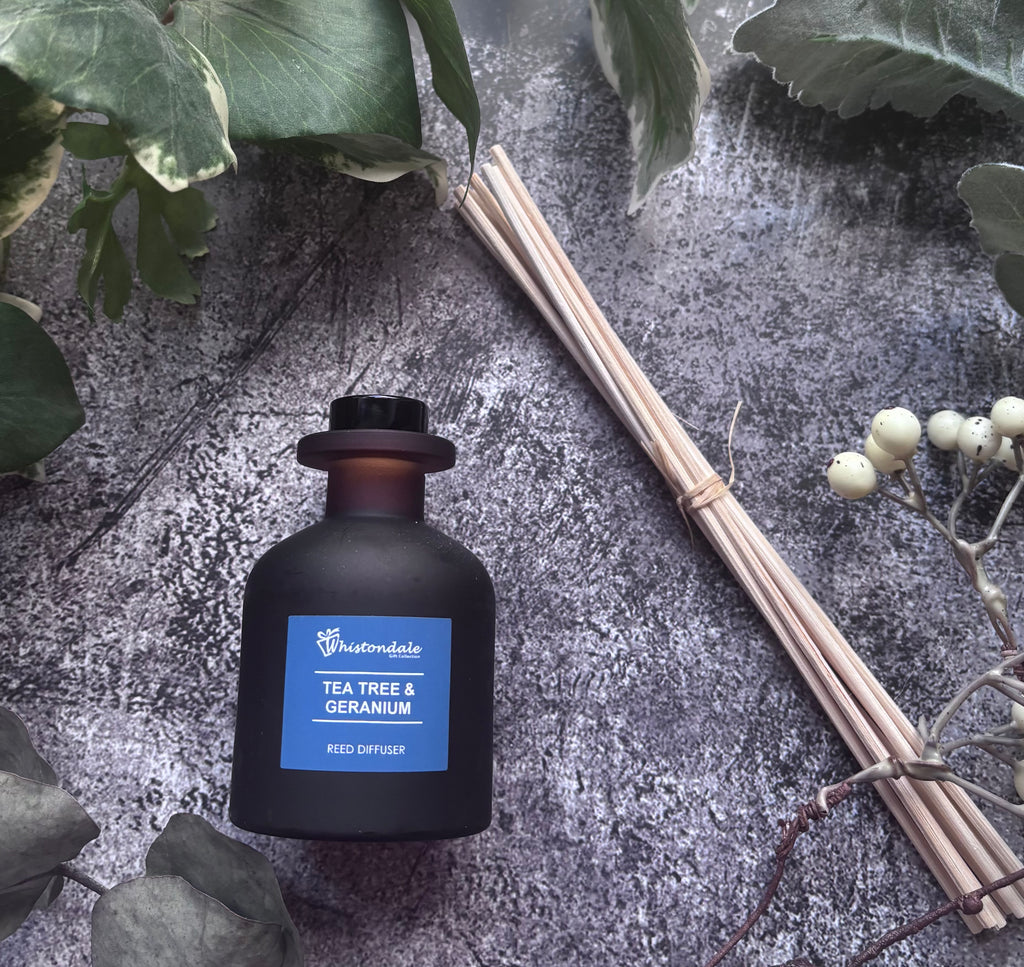 Amber Frosted Tulip Bottle Reed Diffuser - Tea Tree & Geranium