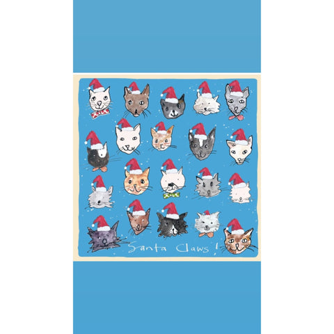 Santa Claws Christmas Greeting Card