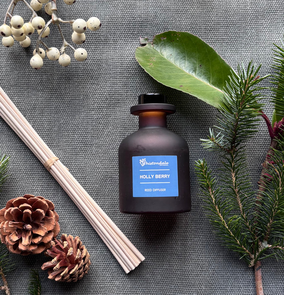 Amber Frosted Tulip Bottle Reed Diffuser - Holly Berry