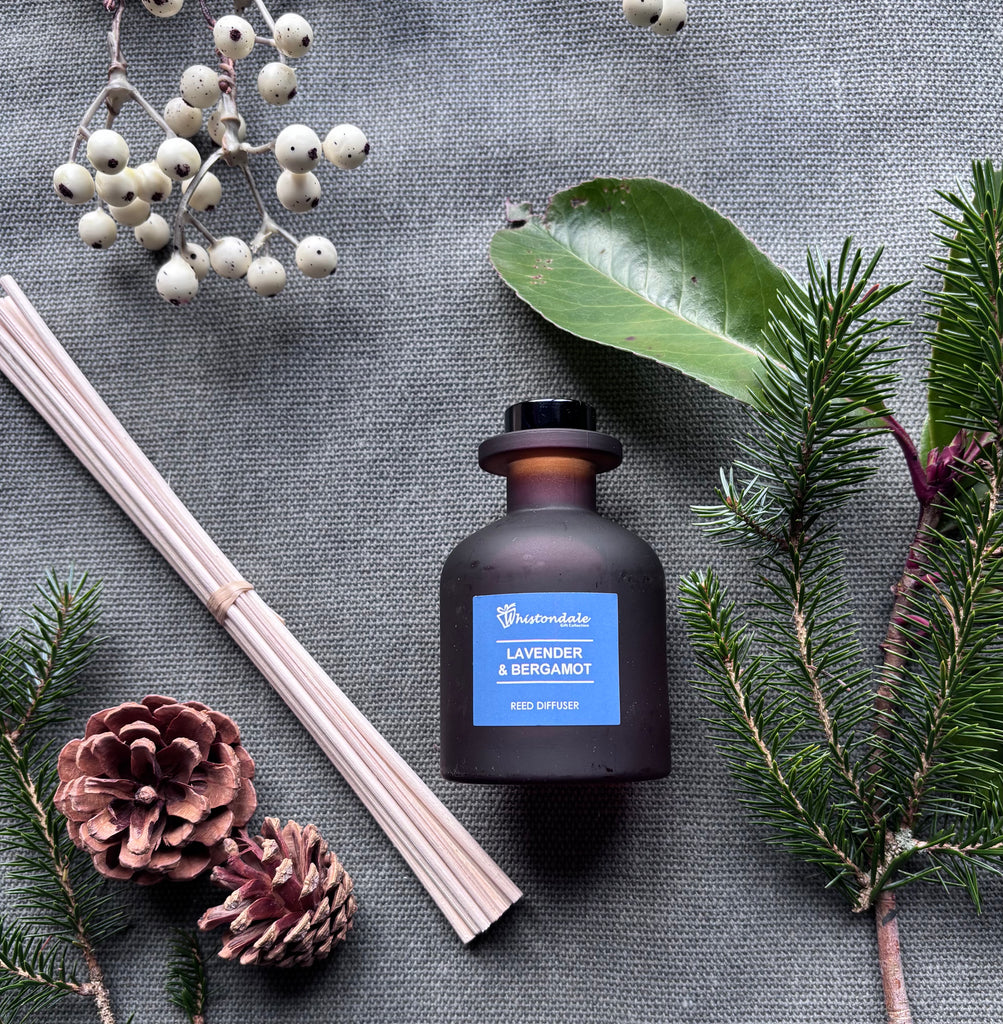 Amber Frosted Tulip Bottle Reed Diffuser - Lavender & Bergamot