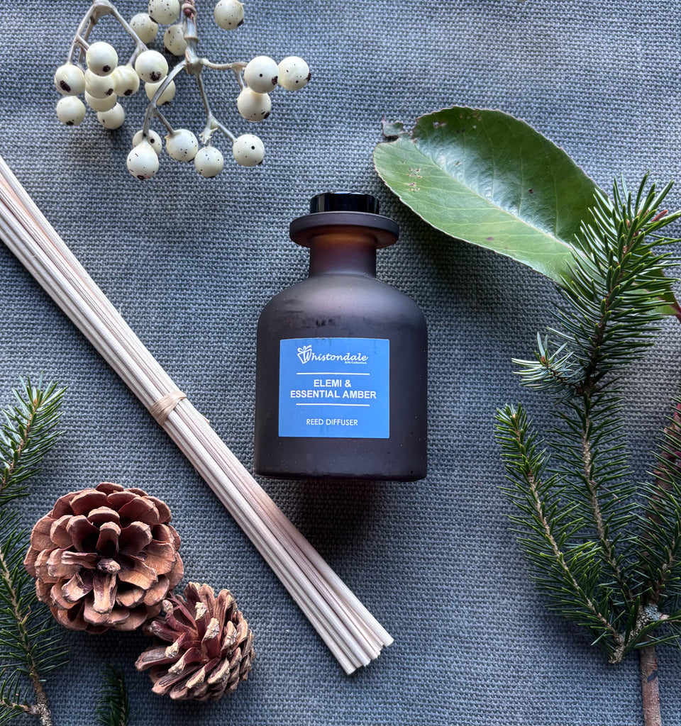 Amber Frosted Tulip Bottle Reed Diffuser - Elemi & Essential Amber