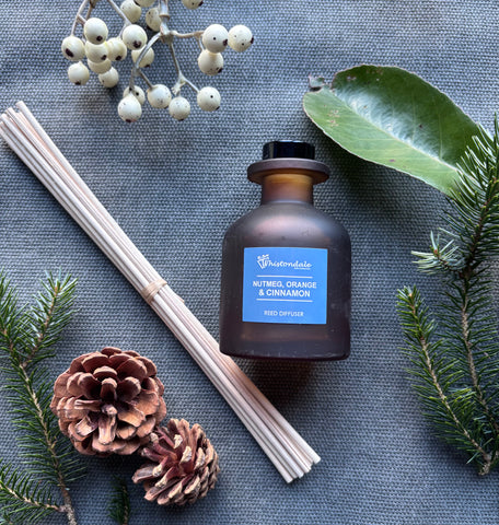 Amber Frosted Tulip Bottle Reed Diffuser - Nutmeg, Orange & Cinnamon