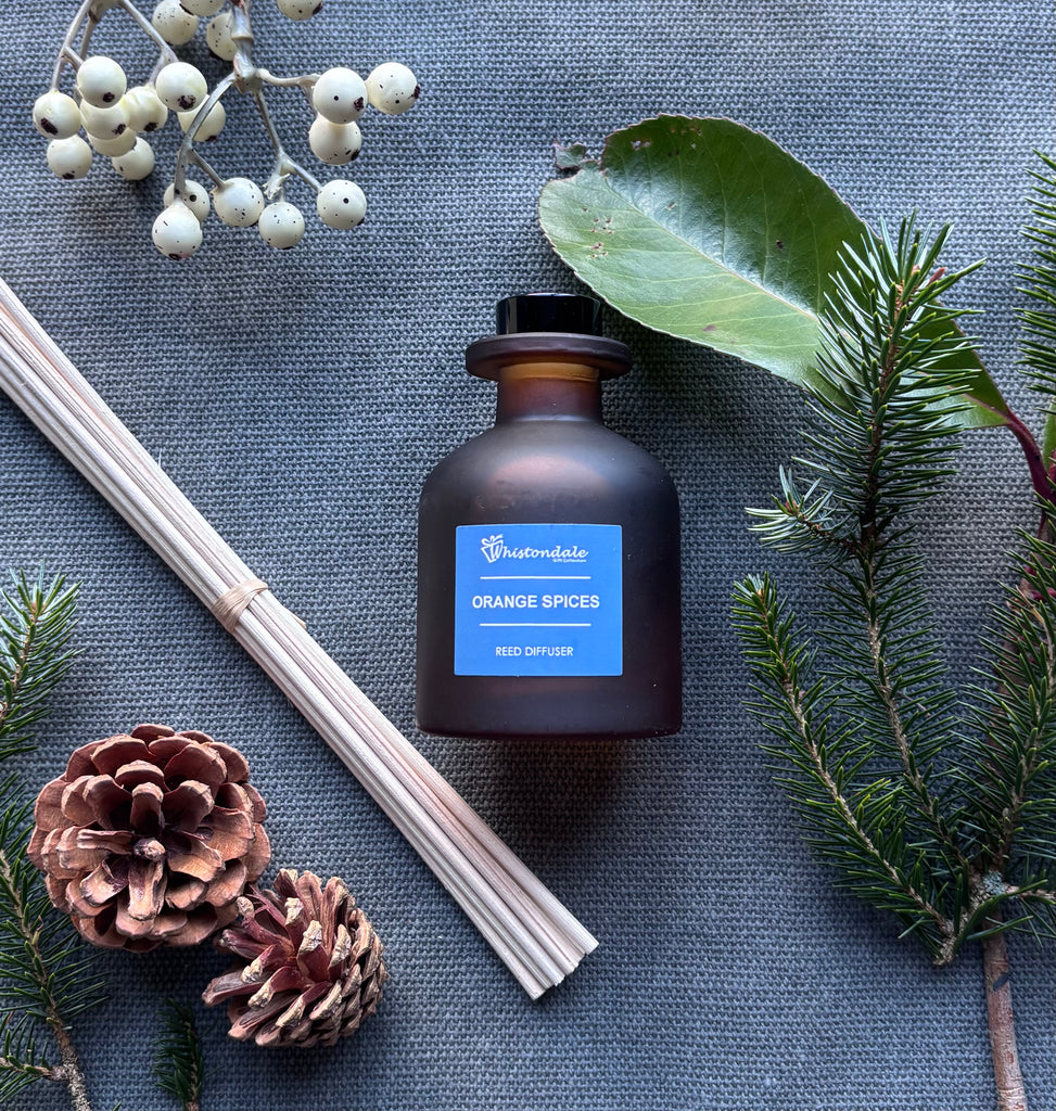 Amber Frosted Tulip Bottle Reed Diffuser - Orange Spice