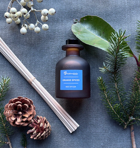 Amber Frosted Tulip Bottle Reed Diffuser - Orange Spice