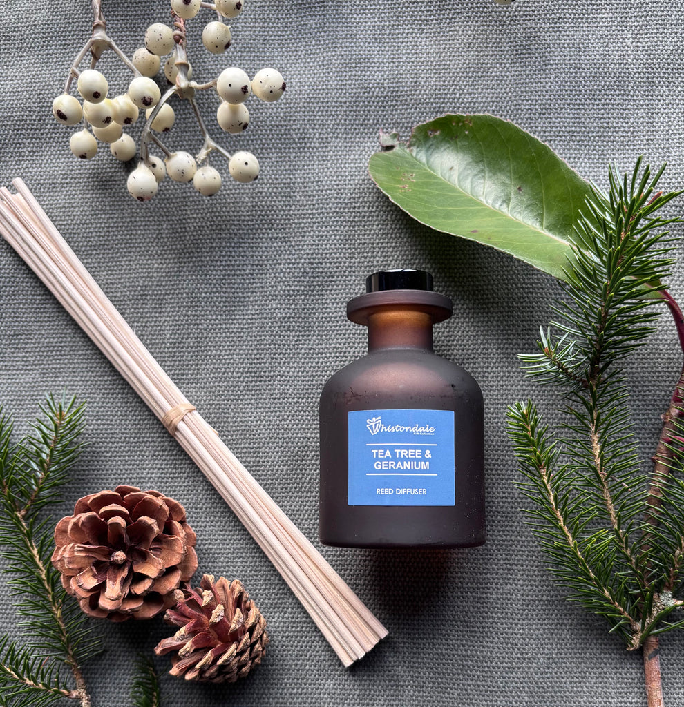 Amber Frosted Tulip Bottle Reed Diffuser - Tea Tree & Geranium
