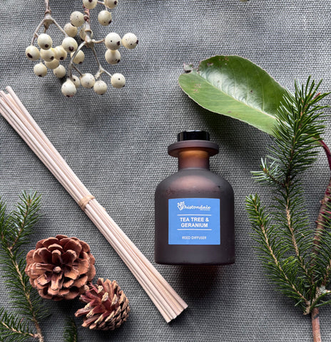 Amber Frosted Tulip Bottle Reed Diffuser - Tea Tree & Geranium