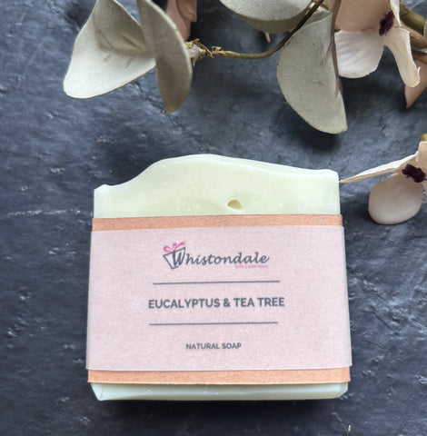 Handmade Natural Soap - Eucalyptus & Tea Tree