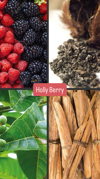 Ceramic Jar Candle - Holly Berry